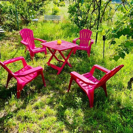 Echapee Belle - Vinayard View - Jacuzzi Bbq - Parking Apartment Nice Luaran gambar