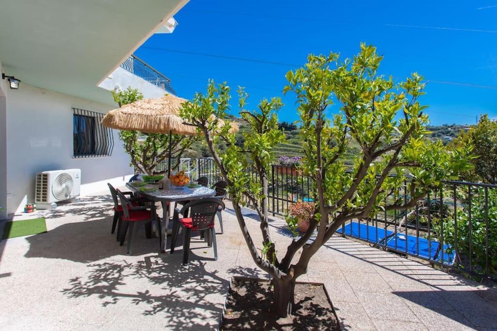 Echapee Belle - Vinayard View - Jacuzzi Bbq - Parking Apartment Nice Luaran gambar