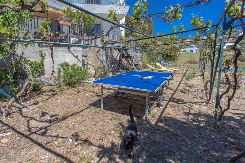 Echapee Belle - Vinayard View - Jacuzzi Bbq - Parking Apartment Nice Luaran gambar